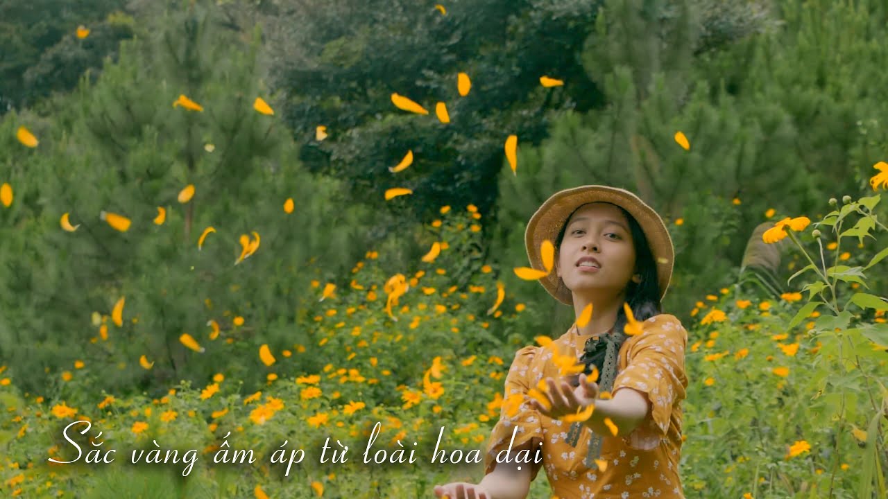 Ngắm Đà Lạt mùa hoa Dã Quỳ